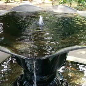 ココロ ユレルの画像