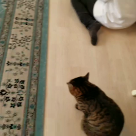 ひな祭りイベントDay☆ありがとうございました！の画像