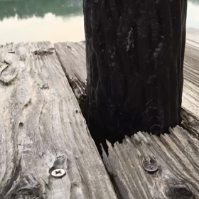 気になるの画像