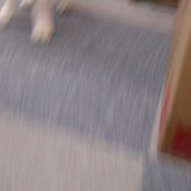 初めての動画投稿の画像