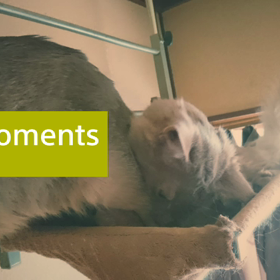 生きておりまーすの画像