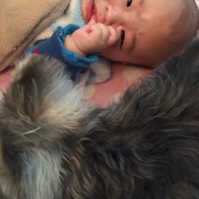 おしゃべり。の画像