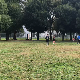 航空公園練習1000m １組目②の画像