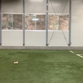 頑張ってますの画像