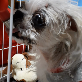 そういう訳でしたか。の画像