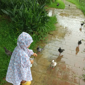 雨の日の公園は穴場だよ。の画像
