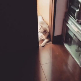 おまたせの画像