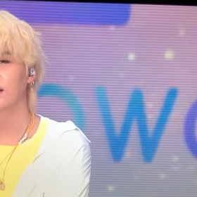 シュガーレスの画像