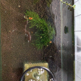 室内水槽の画像