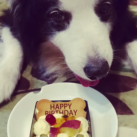 13歳の誕生日の画像