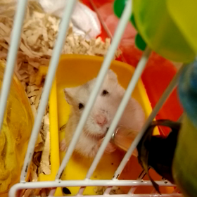 水分補給中の画像