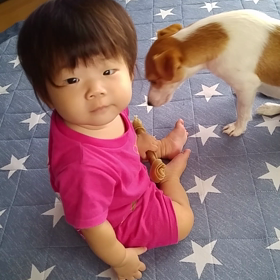 またまた成長の画像