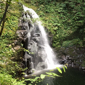 おはようございますの画像