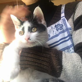 コジコジ(小次郎)たまらんの画像