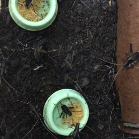 やっと(≧◡≦)の画像