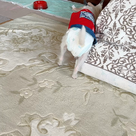 今日は歩けた❤️の画像