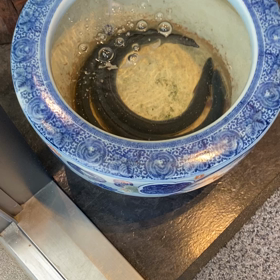 配当の時期？の画像