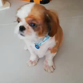 ごはんまだかな～の画像