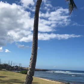 おうちでハワイ　〜動画⑭　どこ？（笑）〜の画像