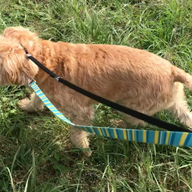 ♪お散歩動画♪代々木公園♪の画像