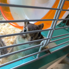 与作にタッチの画像