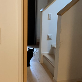 じじくんの画像