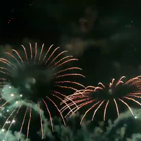 Queen花火そのにの画像