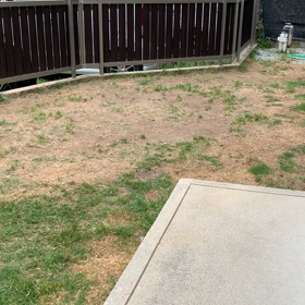 クリッカートレーニングの画像