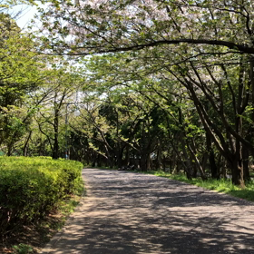 癒しをお届けの画像