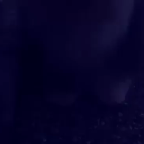 いつも通りの画像