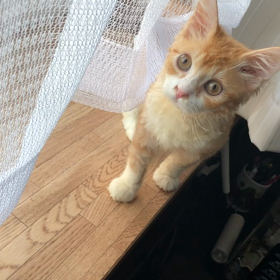 待ちに待ってた日の画像