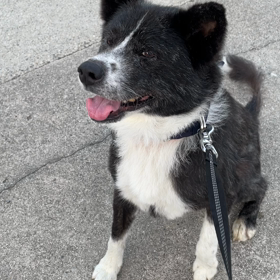 日々、成長‼︎の画像