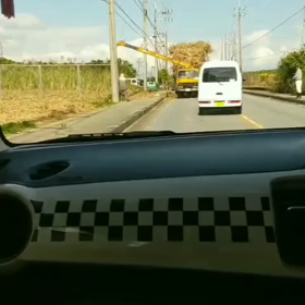 サトウキビにご注意の画像