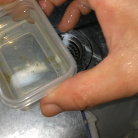 天ちゃん流の画像