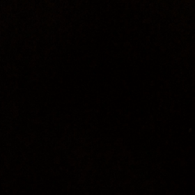 禁断の行い…の画像