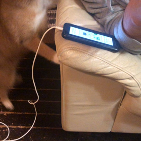 毎日が戦（いくさ）！の画像