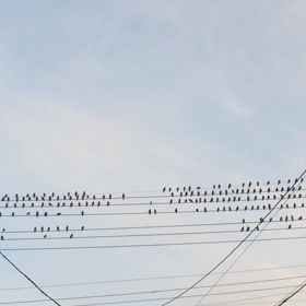 うるさいの画像