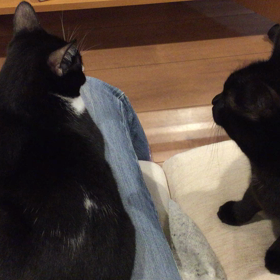 恒例の順番待ち♡の画像