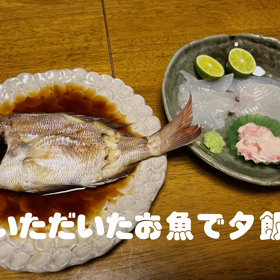 空悟ご飯　おさかな編の画像