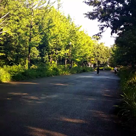 ８月１日 記録会①の画像