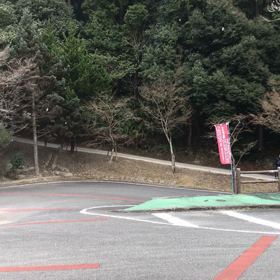 ソコソコの画像