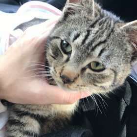 ＊ 番外編 ~動画~の画像