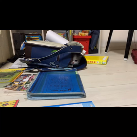 ヤドカリやねん I'm a hermit crabの画像