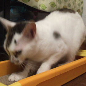 ゆとりのお気に入りの画像