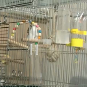 お喋りの練習を見るの画像