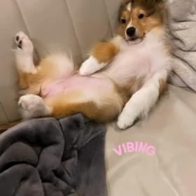 20211014 Win IGSの画像