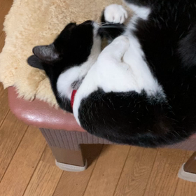 いとさんのウネウネの画像