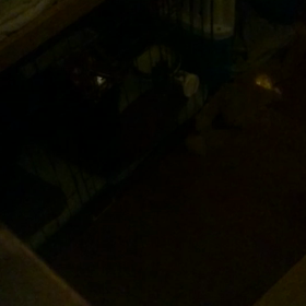 はじめてだよね？の画像