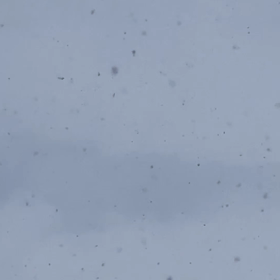 ホワイトクリスマス確定の画像