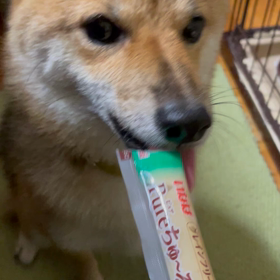 手術…したはず…の画像
